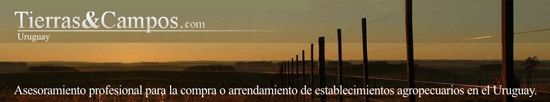 visite nuestro site